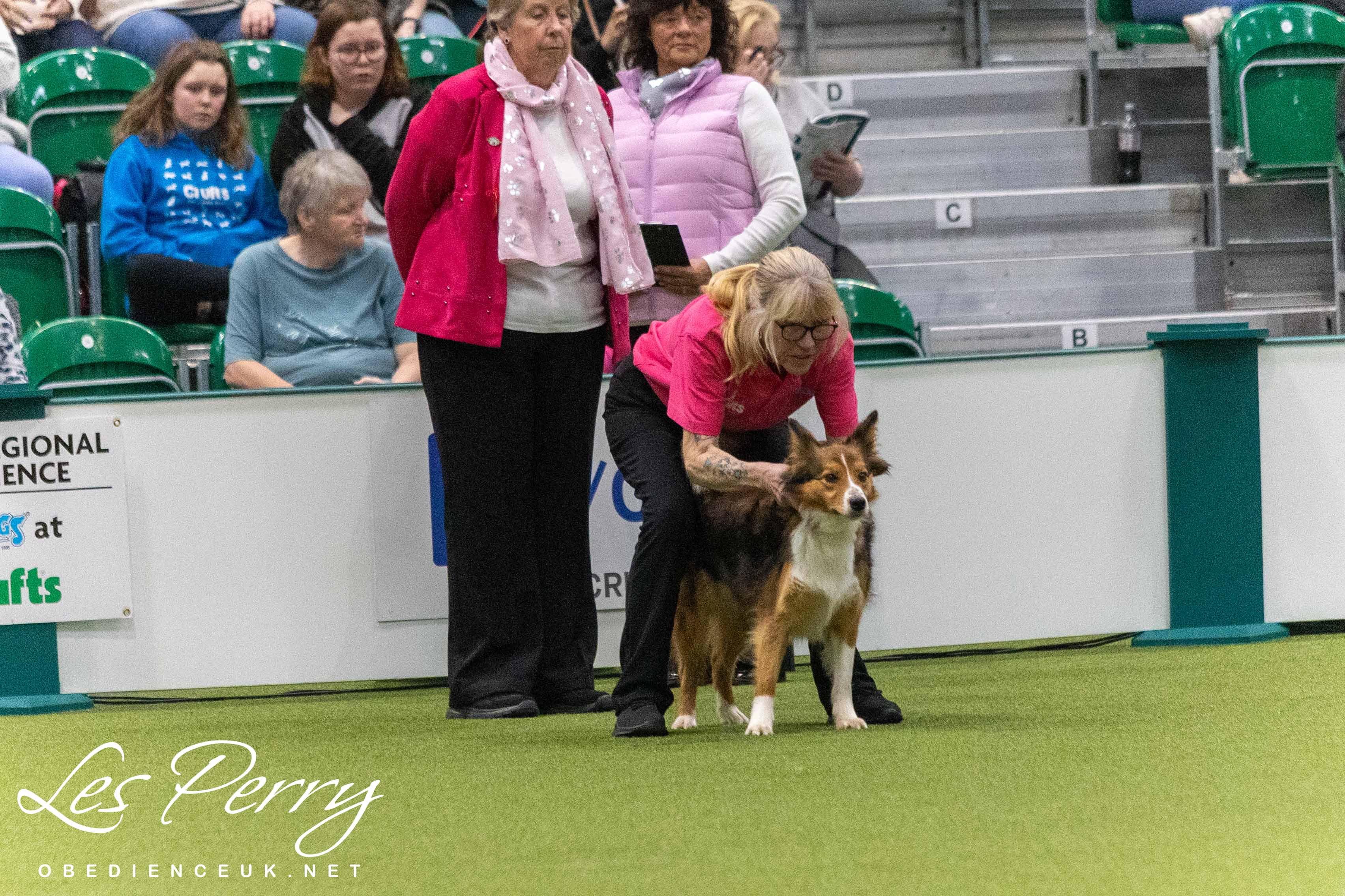 z25AD213