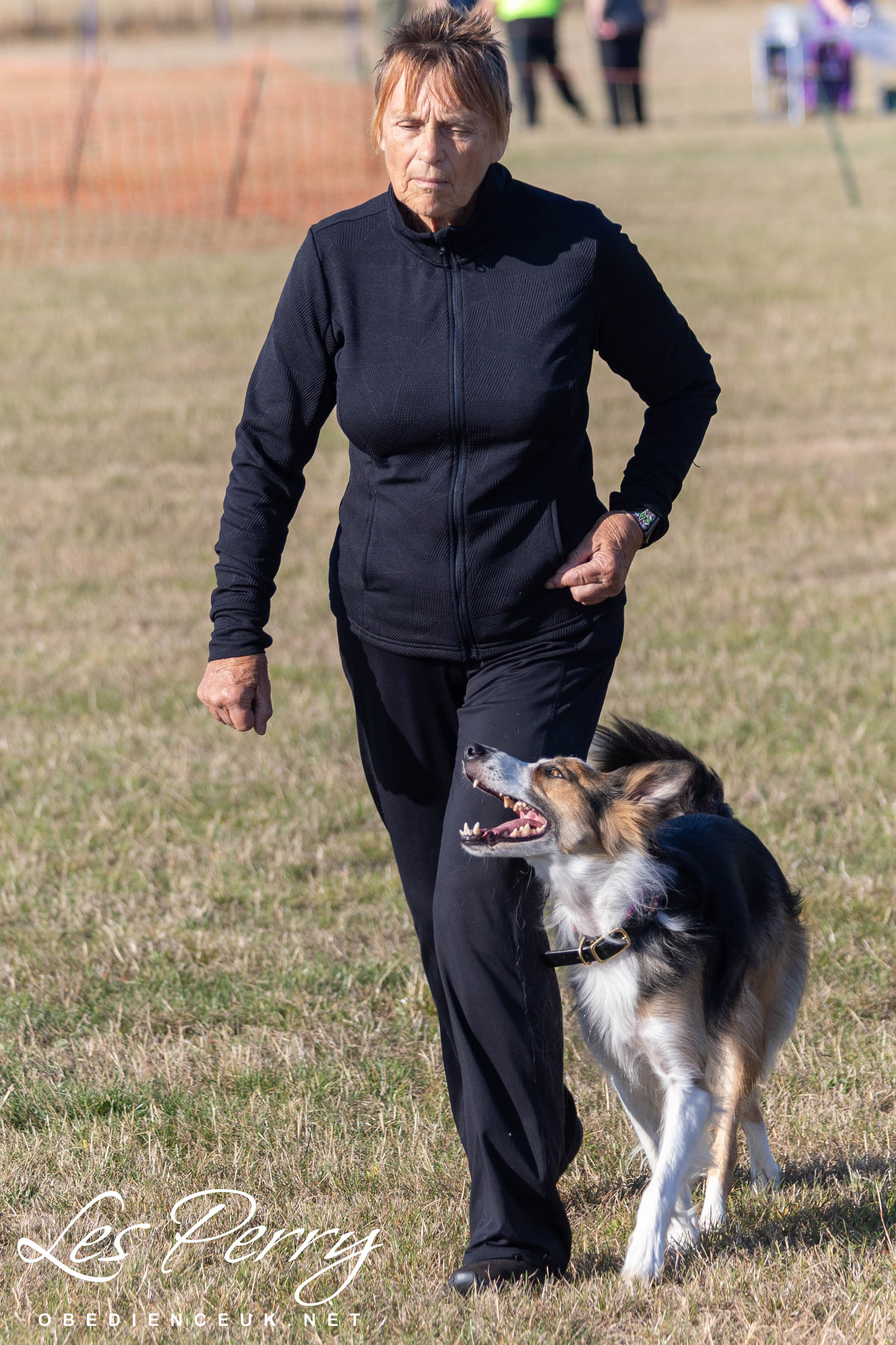 z25CB005