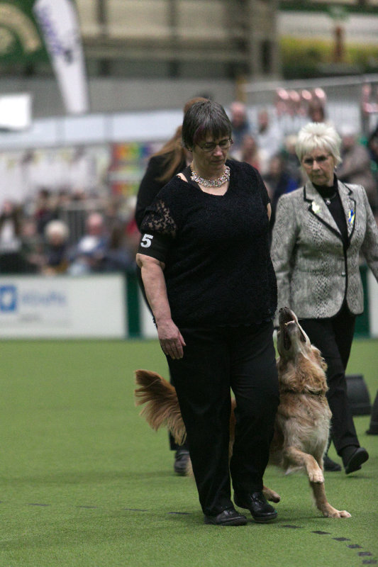 z22ak311