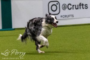 z25AF043