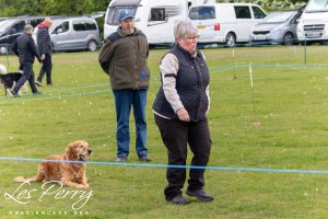 Leicestershire GSD Championship Show