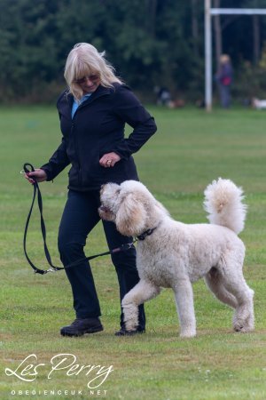 Solihull Championship Show