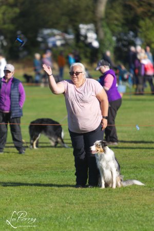 z23DH021