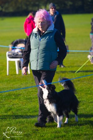 z23DS021