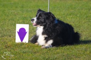 z23DS068